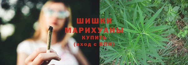 индика Надым