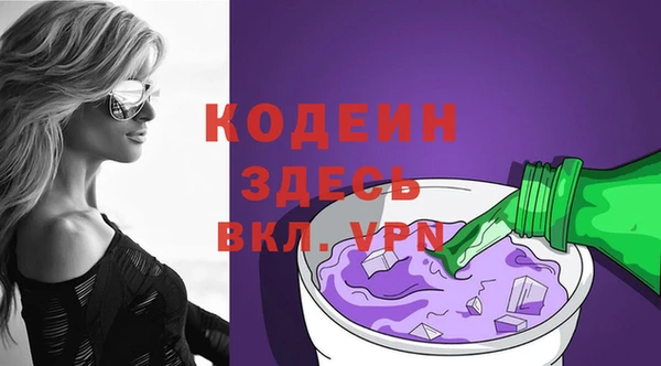 индика Надым