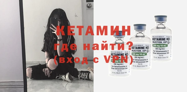 индика Надым
