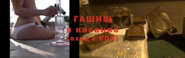 индика Надым