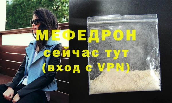 индика Надым