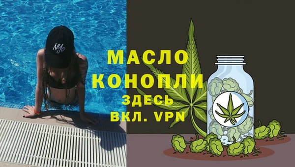 индика Надым