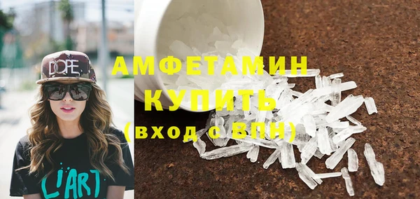 индика Надым