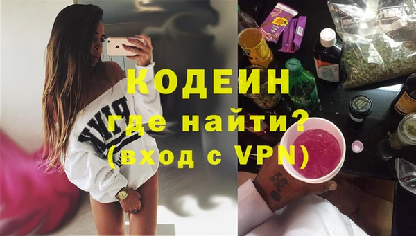индика Надым