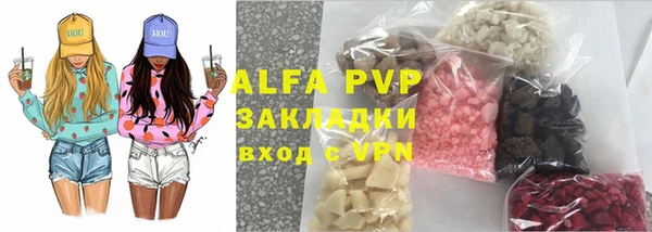 индика Надым